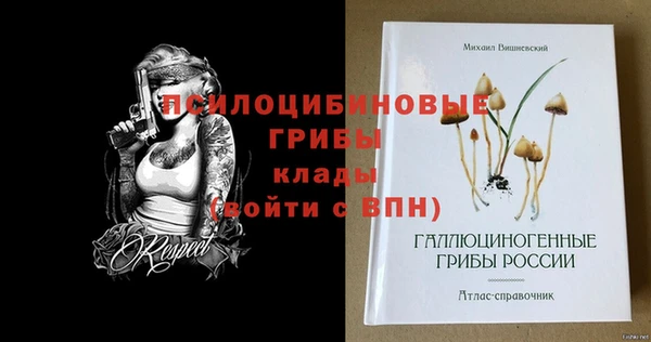 герыч Арсеньев