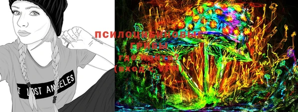 ПСИЛОЦИБИНОВЫЕ ГРИБЫ Алексин