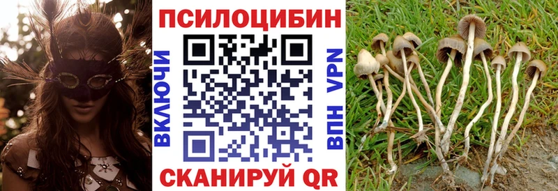 Купить закладки  Белогорск  Псилоцибиновые грибы Magic Shrooms 